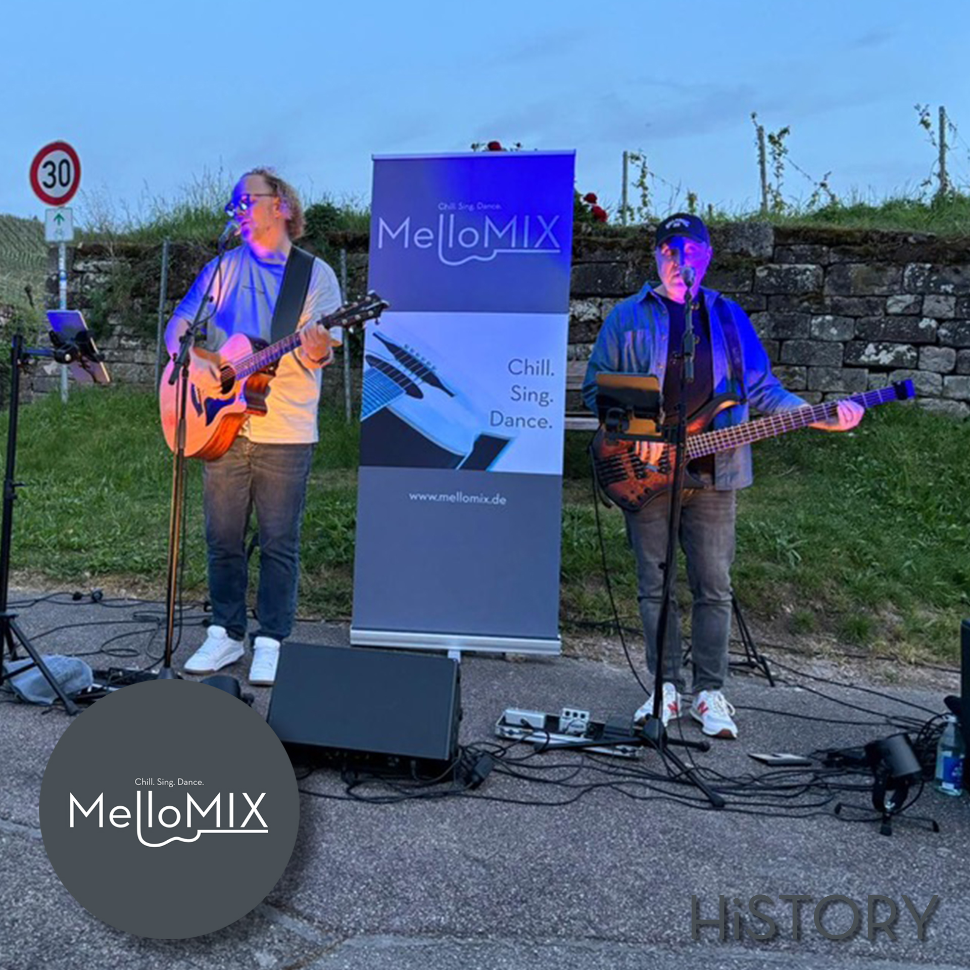 Livemusik von der Liveband MelloMIX in den Weinbergen